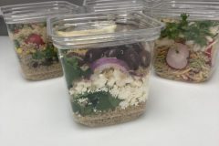 Quinoa Salads