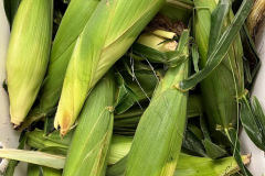 Corn