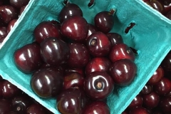 Door County Cherries