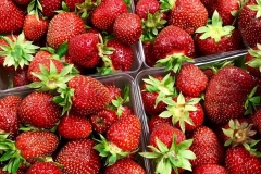 Local Strawberries